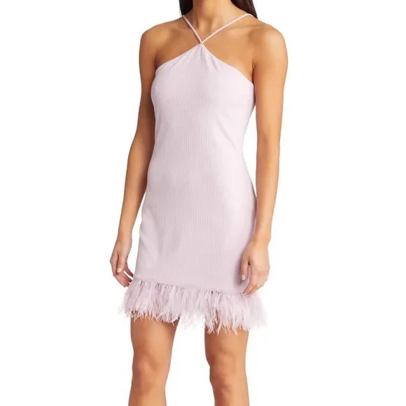 Saylor Purple Mini Dress With Feathers